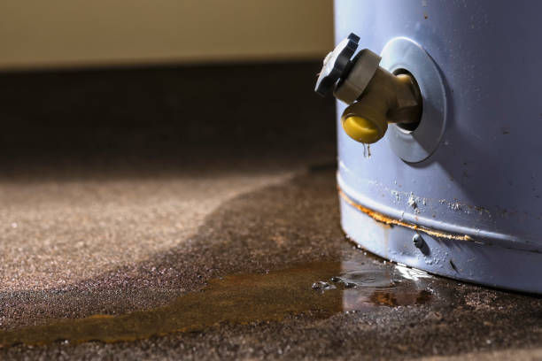 Water damage restoration mold remediation in Tyndall Af, FL