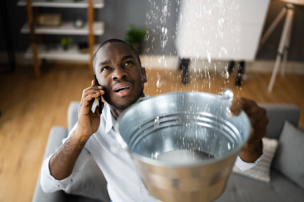 Best 24-hour water damage restoration  in Tyndall Af, FL