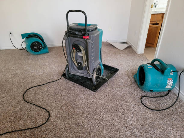 Best Local water damage restoration  in Tyndall Af, FL