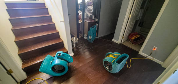 Best Water damage cleanup near me  in Tyndall Af, FL