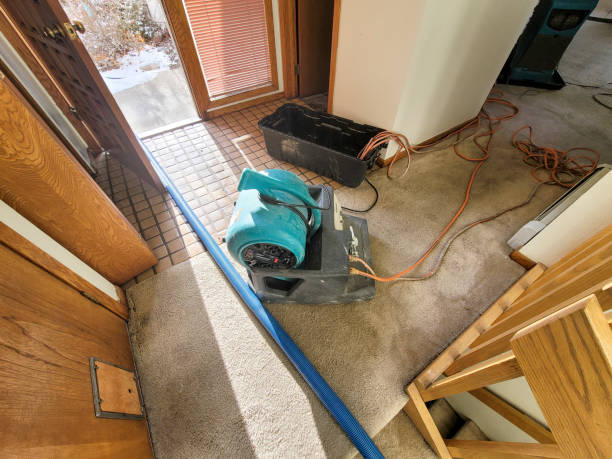 Best Fire Damage Restoration  in Tyndall Af, FL