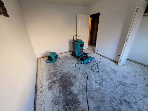 Best 24/7 water damage repair  in Tyndall Af, FL