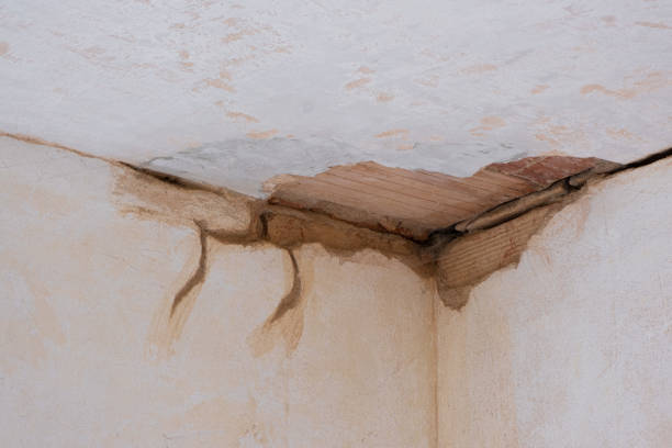 Best Water damage restoration near me  in Tyndall Af, FL