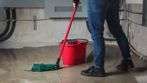Best Water damage restoration mold remediation  in Tyndall Af, FL