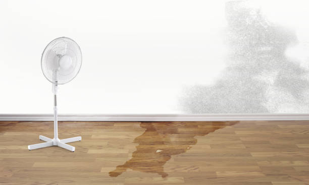 Sewage cleanup and water damage restoration in Tyndall Af, FL