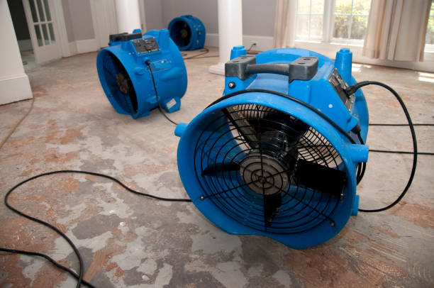 Water damage restoration process in Tyndall Af, FL