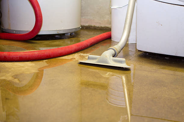 Water damage restoration process in Tyndall Af, FL