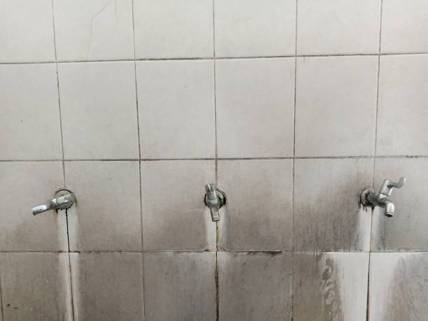 Best Water damage contractors near me  in Tyndall Af, FL