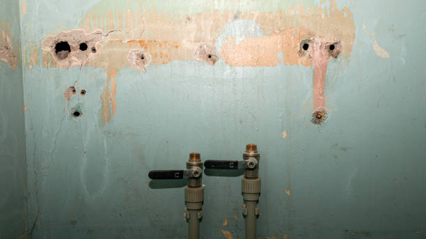 Best Flood restoration services  in Tyndall Af, FL
