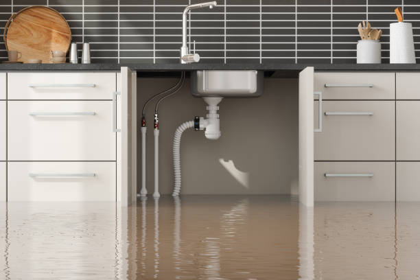 Best Residential water damage restoration  in Tyndall Af, FL