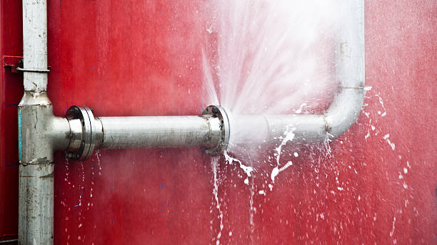 Best Sewage cleanup and water damage restoration  in Tyndall Af, FL